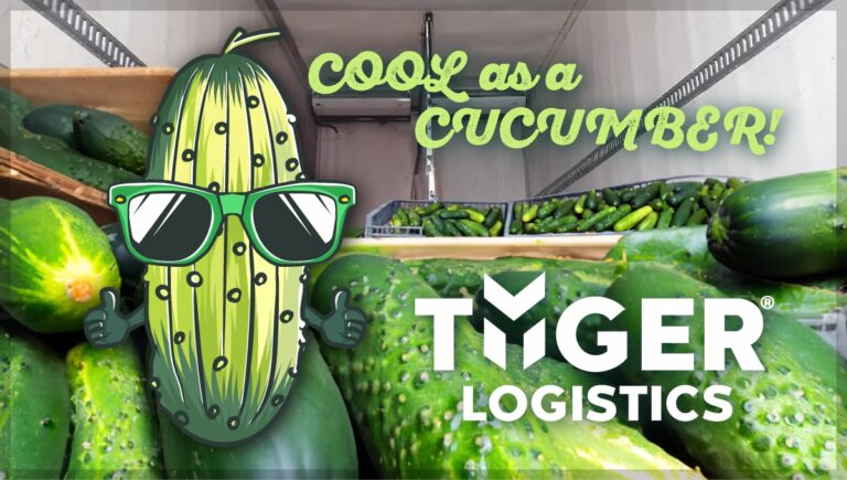 cool-as-a-cucumber-tyl a cartoon character cucumber is wearing green sunglasses and giving a thumbs up inside the back of a reefer truck filled with cold cucumbers.