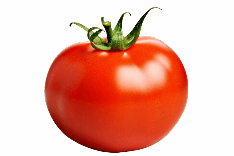 large red tomato